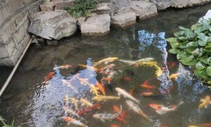 潍坊教师证报名_考试_报考条件