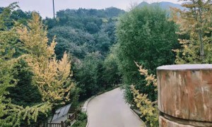 菏泽教师证报名_考试_报考条件