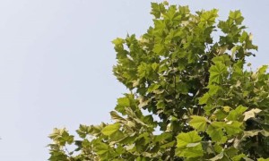 台州教师证报名_考试_报考条件