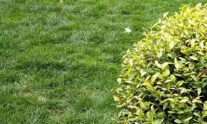 金华教师证报名_考试_报考条件