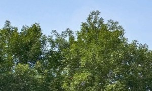 湖州教师证报名_考试_报考条件