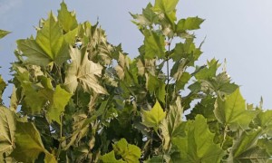 昆山教师证报名_考试_报考条件