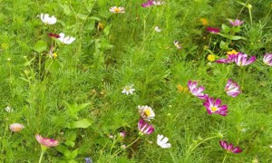 苏州教师证报名_考试_报考条件