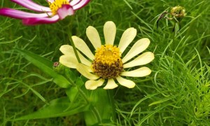 南通教师证报名_考试_报考条件