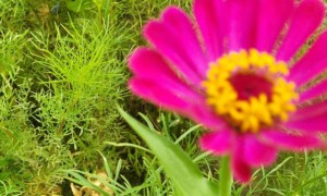 连云港教师证报名_考试_报考条件