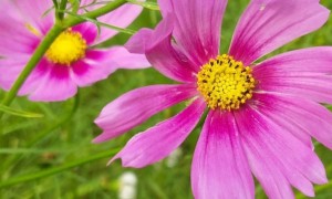 徐州教师证报名_考试_报考条件