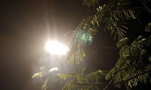 滨州教师证报名_考试_报考条件