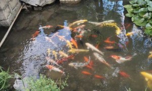 聊城教师证报名_考试_报考条件