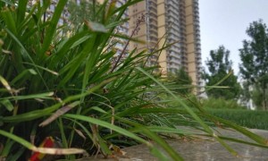 淮安教师证报名_考试_报考条件