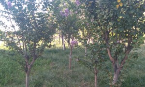 泰州教师证报名_考试_报考条件