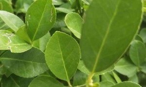 蚌埠教师证报名_考试_报考条件