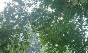 阜阳教师证报名_考试_报考条件