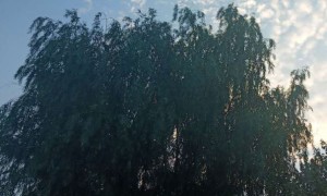 宿州教师证报名_考试_报考条件