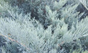 福州教师证报名_考试_报考条件