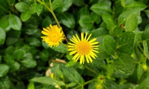 泉州教师证报名_考试_报考条件