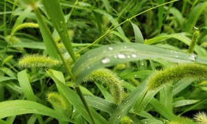 漳州教师证报名_考试_报考条件