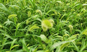 福建教师证报名_考试_报考条件