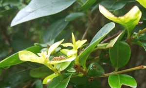 安阳教师证报名_考试_报考条件