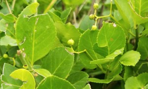 驻马店教师证报名_考试_报考条件