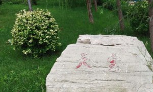 许昌教师证报名_考试_报考条件