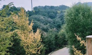 湖南教师证报名_考试_报考条件