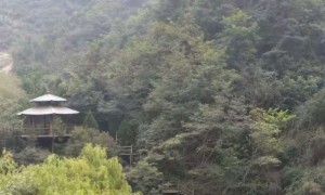 娄底教师证报名_考试_报考条件