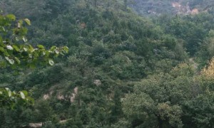 常德教师证报名_考试_报考条件