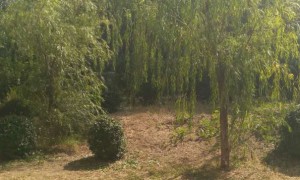 长沙教师证报名_考试_报考条件