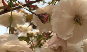 濮阳教师证报名_考试_报考条件