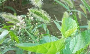 孝感教师证报名_考试_报考条件