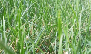 荆门教师证报名_考试_报考条件