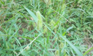 怀化教师证报名_考试_报考条件