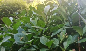 郴州教师证报名_考试_报考条件