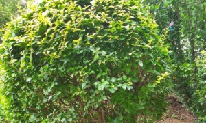 邵阳教师证报名_考试_报考条件