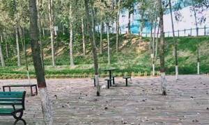 咸宁教师证报名_考试_报考条件