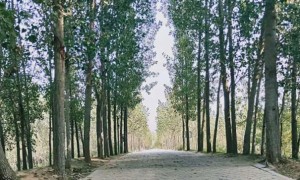 黄石教师证报名_考试_报考条件