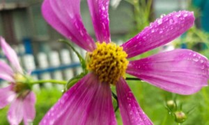 攀枝花教师证报名_考试_报考条件