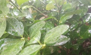 广元教师证报名_考试_报考条件