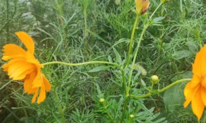 六盘水教师证报名_考试_报考条件