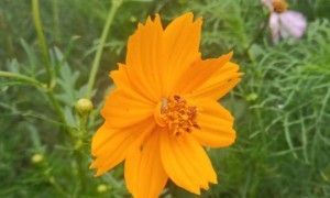 遵义教师证报名_考试_报考条件