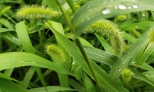 玉溪教师证报名_考试_报考条件