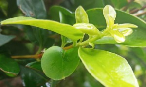 昆明教师证报名_考试_报考条件