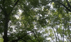 云南教师证报名_考试_报考条件