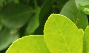 西安教师证报名_考试_报考条件