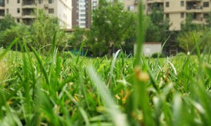 吴忠教师证报名_考试_报考条件