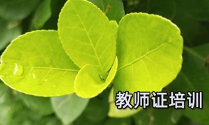 宁夏教师证报名_考试_报考条件