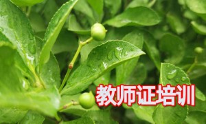 甘肃教师证报名_考试_报考条件