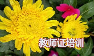 兰州教师证报名_考试_报考条件