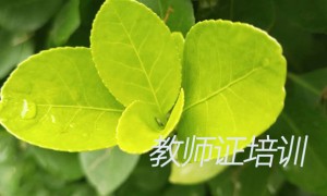 张掖教师证报名_考试_报考条件