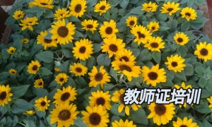 武威教师证报名_考试_报考条件